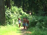 She likes 3 guys and the nature